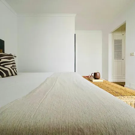 Canaryislandshost L Amapola *