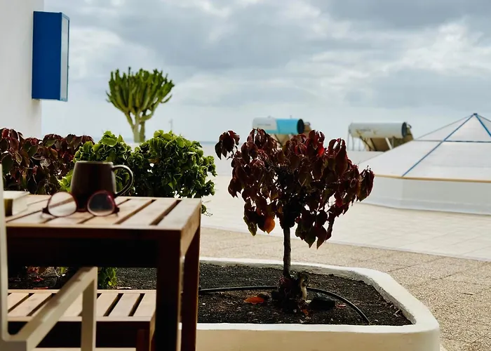 Canaryislandshost L Amapola *